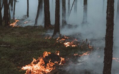 Assurance habitation 2026 : pourquoi les tarifs augmentent ?